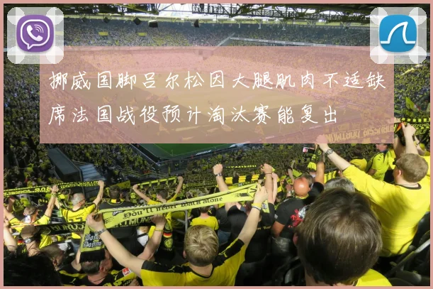 挪威国脚吕尔松因大腿肌肉不适缺席法国战役预计淘汰赛能复出