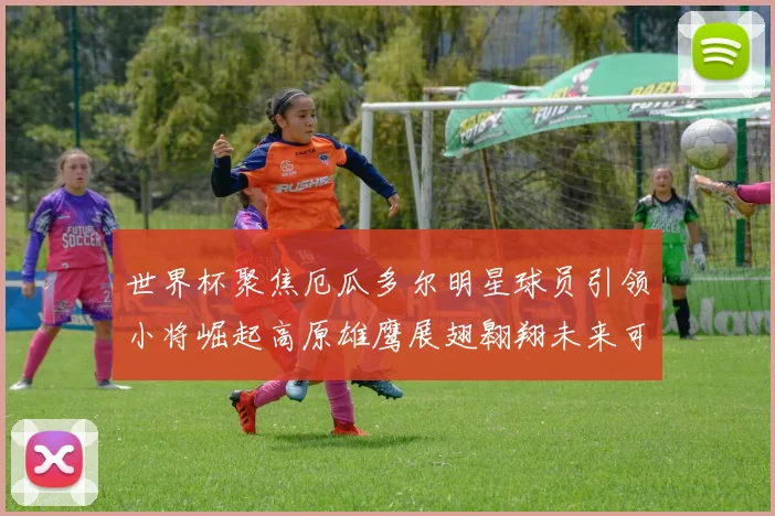 世界杯聚焦厄瓜多尔明星球员引领小将崛起高原雄鹰展翅翱翔未来可期