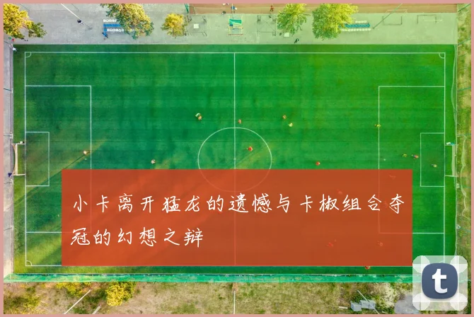 小卡离开猛龙的遗憾与卡椒组合夺冠的幻想之辩