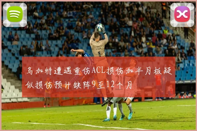 乌加特遭遇重伤ACL损伤加半月板疑似损伤预计缺阵9至12个月
